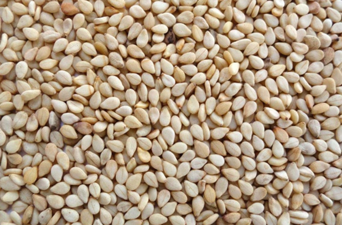 Sesame Seed