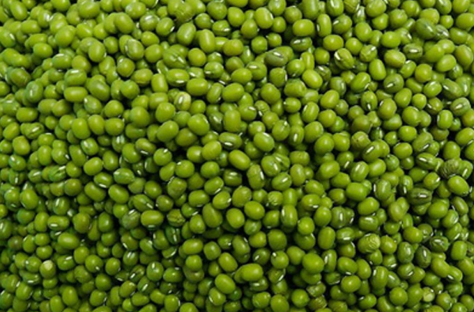 Green Mung Beans